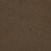 Бельгийские обои Covers, коллекция Chroma, артикул 14-Pinecone