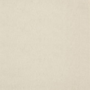 Бельгийские обои Covers, коллекция Chroma, артикул 23-Champagne