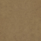 Бельгийские обои Covers, коллекция Chroma, артикул 34-Earth