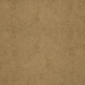 Бельгийские обои Covers, коллекция Chroma, артикул 35-Caramel