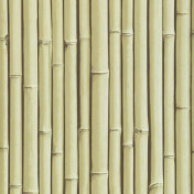 Бельгийские обои Covers, коллекция Elements, артикул Bamboo Buzz 23-Rattan