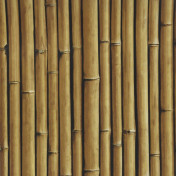 Бельгийские обои Covers, коллекция Elements, артикул Bamboo Buzz 25-Macadamia