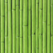 Бельгийские обои Covers, коллекция Elements, артикул Bamboo Buzz 26-Amazone