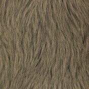 Бельгийские обои Covers, коллекция Jungle Club, артикул Pelage 04-Cappuccino