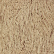 Бельгийские обои Covers, коллекция Jungle Club, артикул Pelage 09-Straw