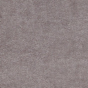 Бельгийские обои Covers, коллекция Leatheritz, артикул Genuine 37-Quartz