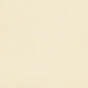 Бельгийские обои Covers, коллекция Leatheritz, артикул Genuine 53-Marzipan