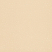 Бельгийские обои Covers, коллекция Leatheritz, артикул Shagreen 50-Desert