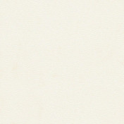 Бельгийские обои Covers, коллекция Leatheritz, артикул Stingray 60-Pearl