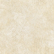 Бельгийские обои Covers, коллекция Textures, артикул Blur 44-Beige