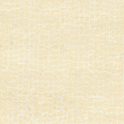 Бельгийские обои Covers, коллекция Textures, артикул Brush 43-Beige