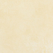 Бельгийские обои Covers, коллекция Textures, артикул Peeling 58-Buff