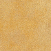 Бельгийские обои Covers, коллекция Textures, артикул Peeling 63-Camel