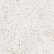 Бельгийские обои Covers, коллекция Textures, артикул Vitrify 27-Fresco Бельгийские обои Covers, коллекция Textures, артикул Vitrify 27-Fresco