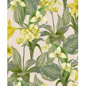 Бельгийские обои Decoprint, коллекция Breeze, артикул BR24082