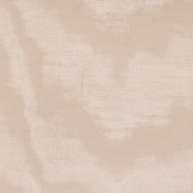 Итальянские обои Dedar, коллекция Amoir Libre, артикул D40013