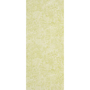 Английские обои Designers Guild, коллекция Contarini, артикул P602/10