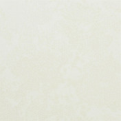 Английские обои Designers Guild, коллекция Edit Plains and Textures II, артикул PDG643-01