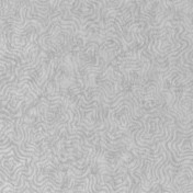 Английские обои Designers Guild, коллекция Foscari Fresco with paint Litho, артикул PDG1092-02