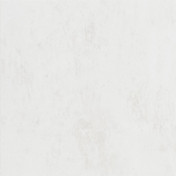 Английские обои Designers Guild, коллекция Jardin Des Plantes, артикул PDG716/01