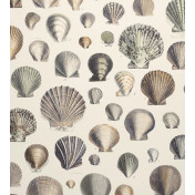 Английские обои Designers Guild, коллекция John Derian - Picture Book, артикул PJD6000-02