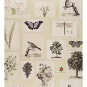 Английские обои Designers Guild, коллекция John Derian - Picture Book, артикул PJD6001-03