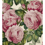 Английские обои Designers Guild, коллекция John Derian - Picture Book, артикул PJD6002-02