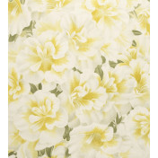 Английские обои Designers Guild, коллекция John Derian - Picture Book, артикул PJD6004-03