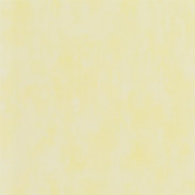 Английские обои Designers Guild, коллекция Parchment, артикул PDG719/32