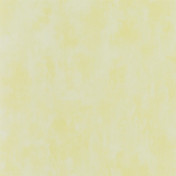 Английские обои Designers Guild, коллекция Parchment, артикул PDG719/33