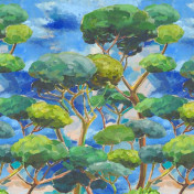 Английские обои Designers Guild, коллекция Pottery Studio, артикул PDG1202/01