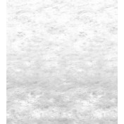 Панно Designers Guild, коллекция Scenes and Murals II, артикул PDG1136/01