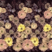 Английские обои Designers Guild, коллекция Scenes and Murals Pattern Book, артикул PDG1107/01