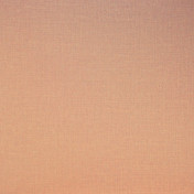 Нидерландские обои Eijffinger, коллекция Masterpiece, артикул 358055