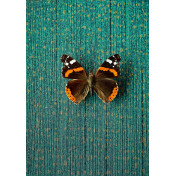 Нидерландские обои Eijffinger, коллекция Masterpiece, артикул 358061