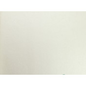 Нидерландские обои Eijffinger, коллекция Reflect, артикул 378050