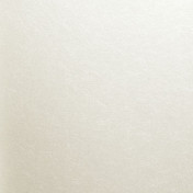 Нидерландские обои Eijffinger, коллекция Venue, артикул 342080