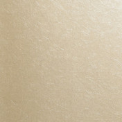 Нидерландские обои Eijffinger, коллекция Venue, артикул 342081