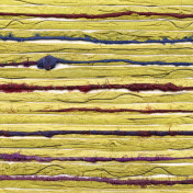 Французские обои Elitis, коллекция Costa Verde, артикул RM 679 22