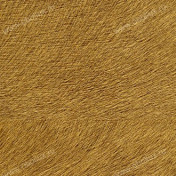 Французские обои Elitis, коллекция Memoires, артикул VP62530