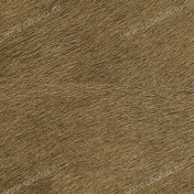 Французские обои Elitis, коллекция Memoires, артикул VP62532