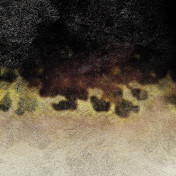 Панно Elitis, коллекция Panoramique Coffret, артикул DM 625 04