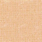 Французские обои Elitis, коллекция Parade, артикул VP 640 27