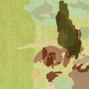 Французские обои Elitis, коллекция Volver, артикул VP92403