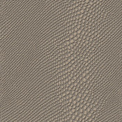 Китайские обои Faboie, коллекция Madagascar, артикул BX-MD0303