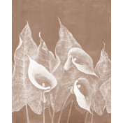 Российские обои Factura, коллекция Collection 2021, артикул IMPRESSIO/2