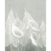 Российские обои Factura, коллекция Collection 2021, артикул IMPRESSIO/4