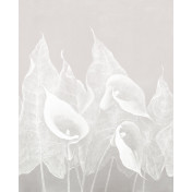 Российские обои Factura, коллекция Collection 2021, артикул IMPRESSIO/5