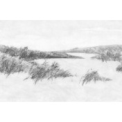 Российские обои Factura, коллекция Collection 2022, артикул REEDS/1