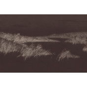 Российские обои Factura, коллекция Collection 2022, артикул REEDS/7